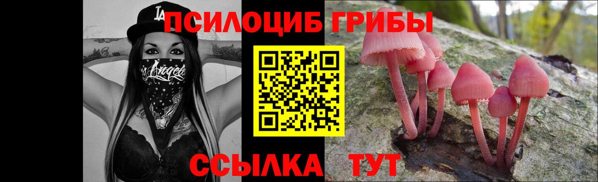 Псилоцибиновые грибы мицелий Камышлов