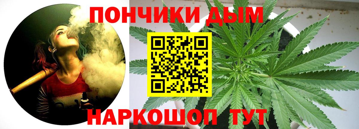 Бошки Шишки THC 21%  Вход с VPN  Камышлов  МАРИХУАНА конопля  Бошки марихуана индика 